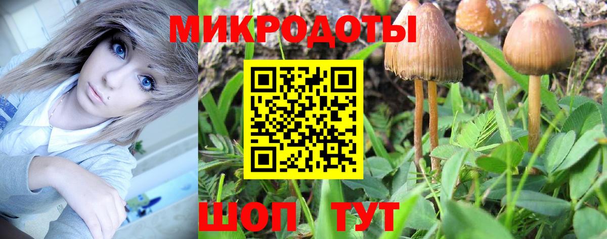 Галлюциногенные грибы Psilocybine cubensis Южно-Сахалинск